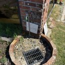 월정씨하루 이미지