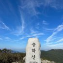 11월 14일(화) 구덕산 ~ 승학산 산행 이미지