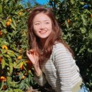 홈세탁소 이미지