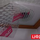나우롯데포항