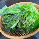 오송포차