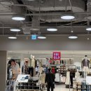 파카PC | 유니클로에서 세일 중인 3가지 아이템 추천하자면? 백팩, 패딩, 바람막이