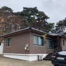 달빛바라기 이미지