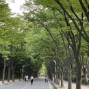 6월포토여행 인천대공원, 소래습지생태공원으로 모십니다... 이미지