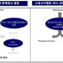 코리아젠 이미지