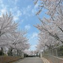 신석체육공원 입구 이미지