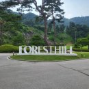 준골프 | cc 비,바람,햇빛 자연이 응원해준 포레스트힐 FOREST코스 12홀. 골프입문자 첫 라운딩 생생후기.내돈내산.