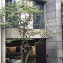 오피셜가먼트 | W6. 말모쀼의 신혼일기 ｜ 신랑 예복 맞춤 후기, 포튼가먼트·아크비스포크·정성비스포크 비교 (정성...