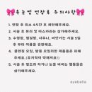 아이벨라 이미지