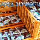 산드리약초 이미지