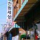 천원세상 이미지