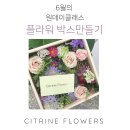 시트린플라워스 이미지