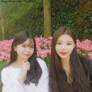 튤립게임랜드 이미지