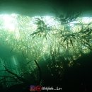 동산충전소 이미지