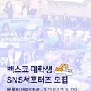 2025 벡스코 대학생 SNS 서포터즈 합격 후기 &amp; 면접전략, 꿀팁