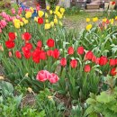 삼척시 번영회장 선출선거 | <핫뉴스*좋은 뉴스 골라 읽기>□2024.05.05□