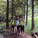 노을공원가로수길 이미지