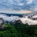 영원을위하여 이미지