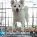 교문초등학교 이미지