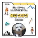 동백8로 이미지