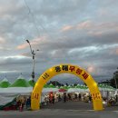 동해웰빙레포츠타운 | 2025 동해 무릉제 축제 일정 초청가수 야시장 정보 / 다녀온 후기