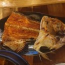 사시미교우 이미지