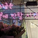 꽃님이네 세종점