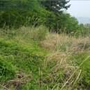 구암동310 이미지