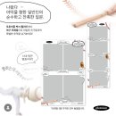 포토이즘 이미지