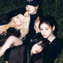 돈크라이 이미지