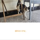 드래곤민박 이미지