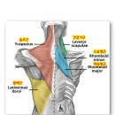 라이프 휘트니스 이미지