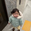 토닥토닥동물병원 | 성남 팔 지방추출주사 통증 붓기 멍 등 1달차 후기