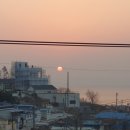 시골태화강식당 이미지