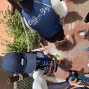 태인목장 | 여름의 조각들