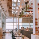 세상의모든아침 이미지