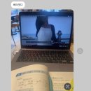 평택 트리하우스 톰소여 솔직후기 | 감성 숙소 프라이빗 수영장 후기
