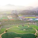 전국 연꽃 축제·명소 5 :: 무안연꽃축제, 부여서동연꽃축제, 양평 세미원 연꽃문화제, 시흥 연꽃테마파크, 함안 연꽃테마파크 이미지