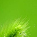 자연을 노래하다 이미지