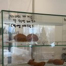 반석세차장 | 경남 장유 율하 [ 말랑 카페 ], 아이와 함께하는 모래놀이 천국