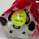 보광수산 | 속초여행 : 보광미니골프장 더호텔속초 속초해수욕장 속초아이 청초수물회