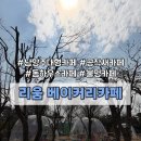 낭만수컷 | 베이커리카페 | 서울근교드라이브 코스로 좋은 삼패동 한강뷰 대형카페 공작새가 있는 이색카페 솔직 후기