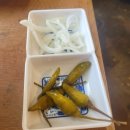 경산역 | 경산역 인근 베트남 음식 맛집 <분보남보> 내돈내산 후기