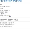 카시트세탁 유모차세탁 우리아이 완정점