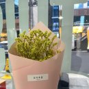 강남역 직장인 다이어트를 위한 &#39;샐러드몬스터&#39;내돈내산 후기