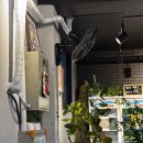 모두랑치킨 | 후암동맛집 숙대입구역술집 서울역맥주 찾는다면 모두랑 비어 도봉구 감성 술집 후기