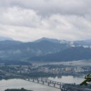 꽃-가족 이미지