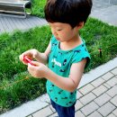 이키야 이미지