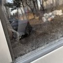 평화로주유소 | 서울 도봉구 자동세차장 추천 - 오토스테이 도봉노원점 솔직후기