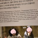 한탄강 지질공원센터 이미지